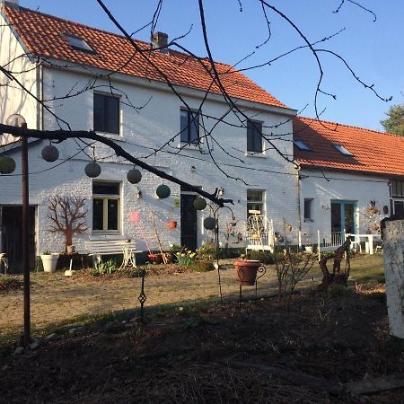 Slaaphuisje Het Vliegend Varken Genk Luaran gambar